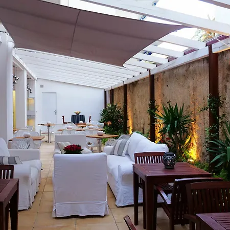 Palm Канны